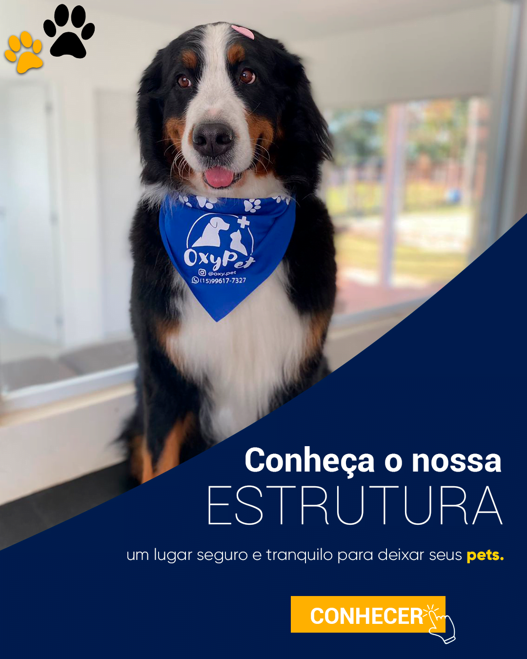 Fofuxos Pets Banho e Tosa (Pássaro e Cia Agropet/Banho e Tosa) - Oferecemos  serviços de Banho, Tosas, Tosas Higiênica, Hotel, Creche, Rações em geral,  Acessórios, Alimentos para Aves em geral e Roedores